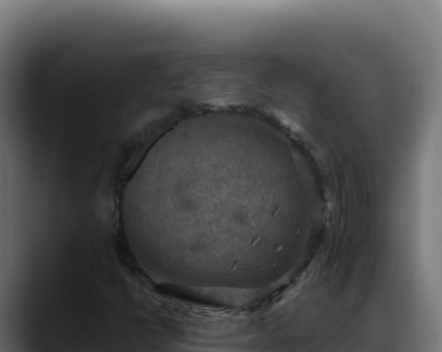 X0000088391398200705291358