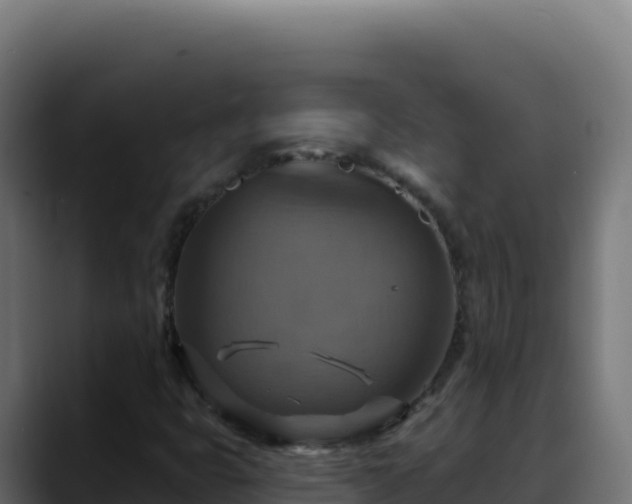 X0000088391399200705291358