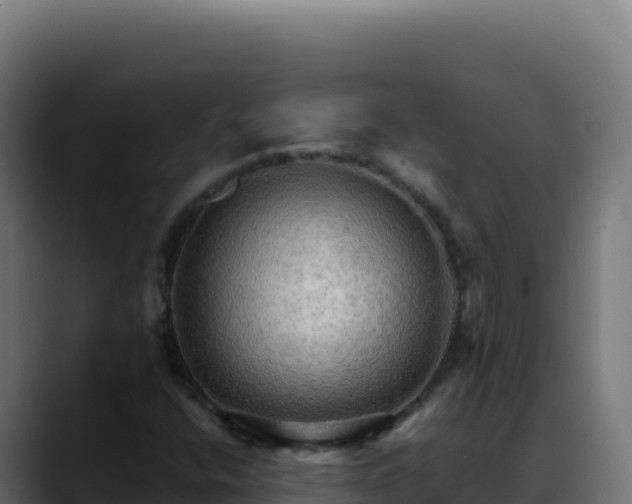 X0000088391400200705291358