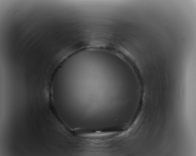 X0000088391401200705291359