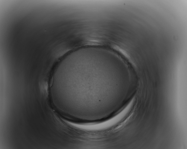 X0000088391402200705291359