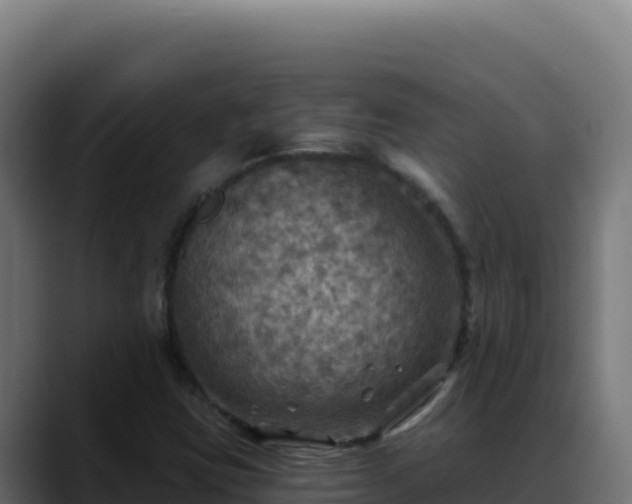 X0000088391403200705291359