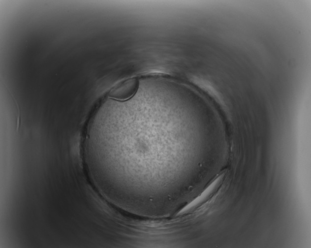 X0000088391404200705291359