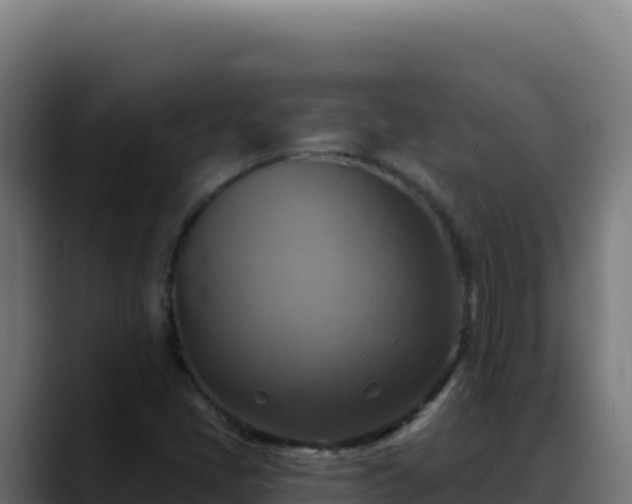 X0000088391405200705291359