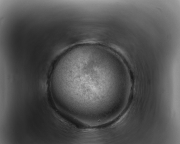 X0000088391406200705291359