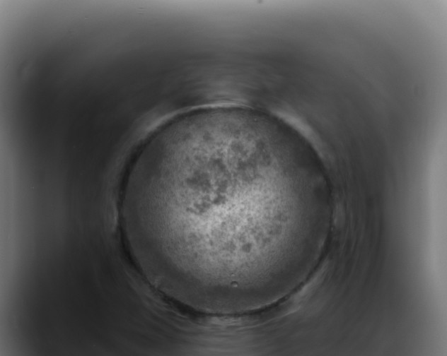 X0000088391407200705291359