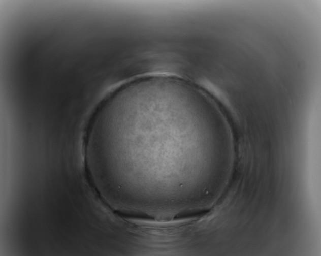 X0000088391408200705291359