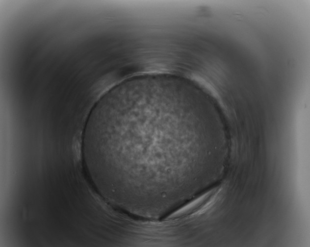 X0000088391409200705291359