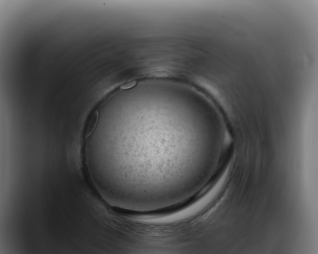 X0000088391410200705291359