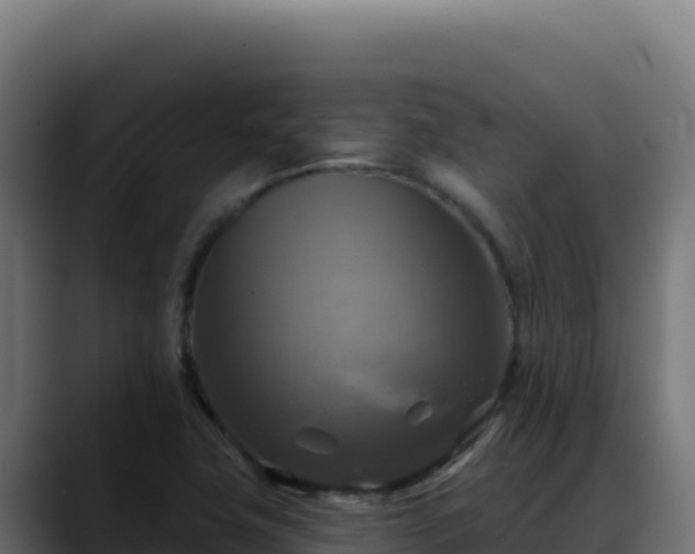 X0000088391411200705291359