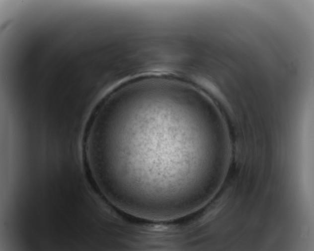 X0000088391412200705291359