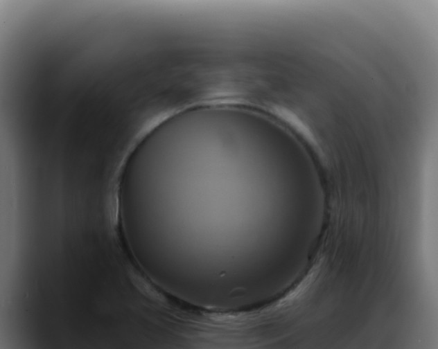 X0000088391413200705291359