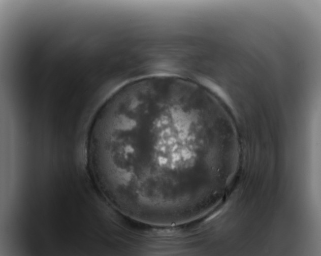 X0000088391415200705291359