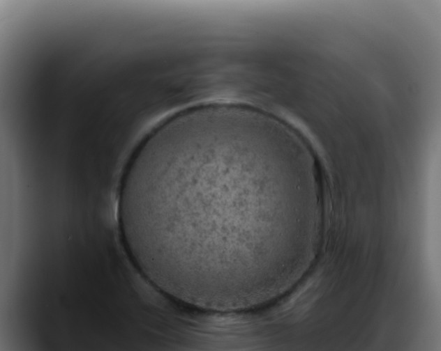 X0000088391416200705291359