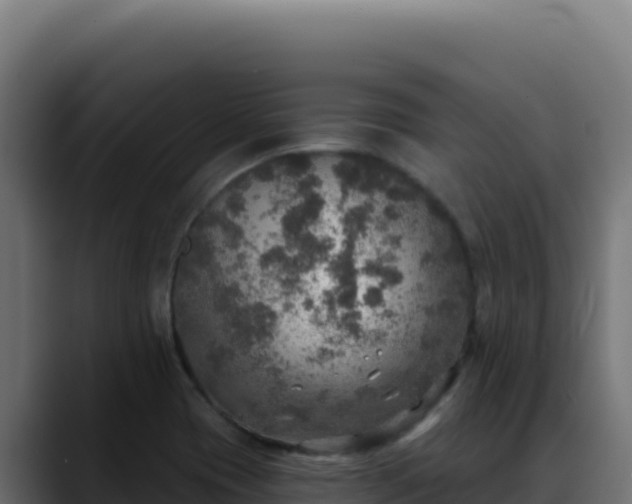 X0000088391417200705291359