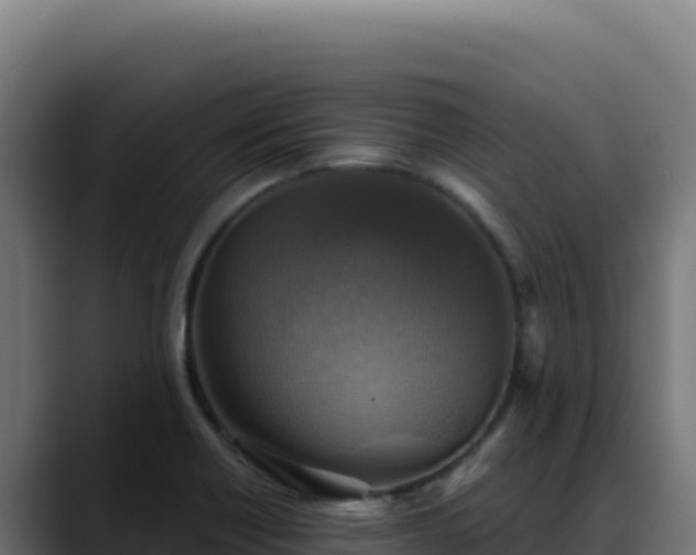 X0000088391418200705291359