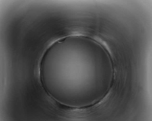 X0000088391419200705291359