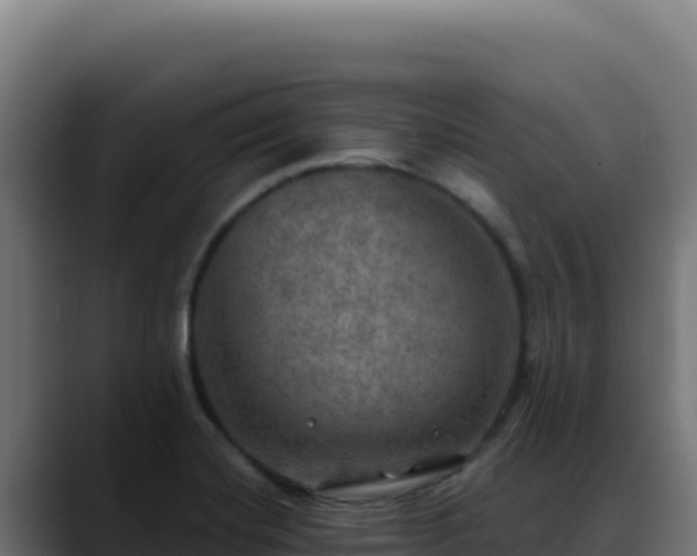 X0000088391420200705291359