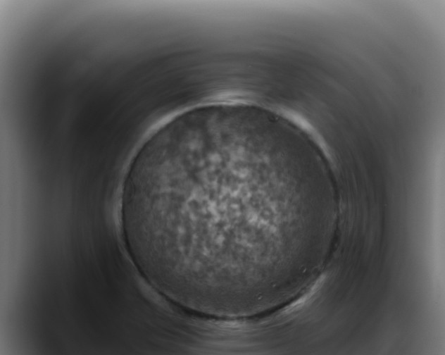 X0000088391421200705291359