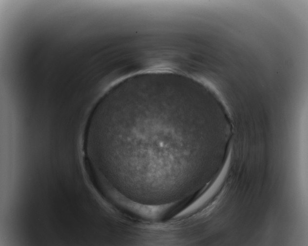 X0000088391422200705291359