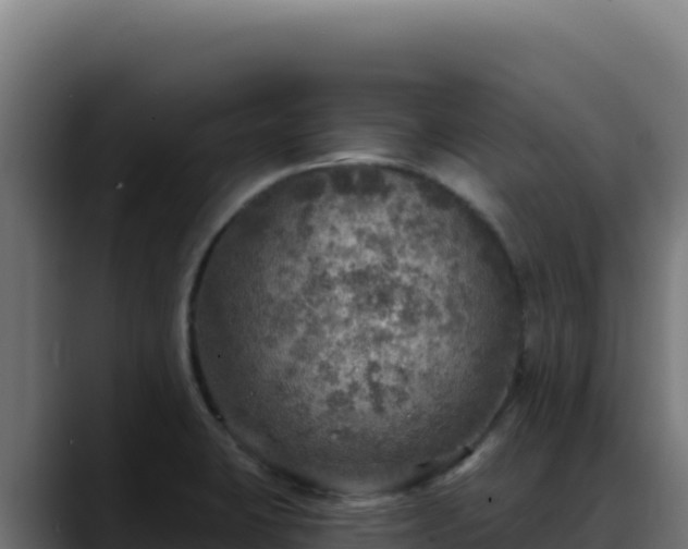 X0000088391423200705291359