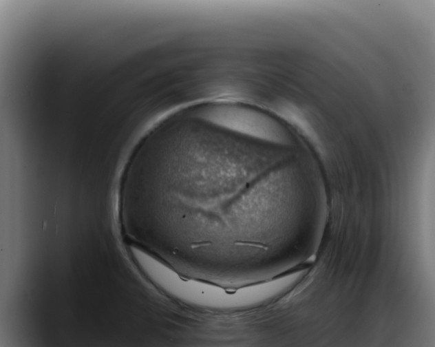 X0000088391424200705291359