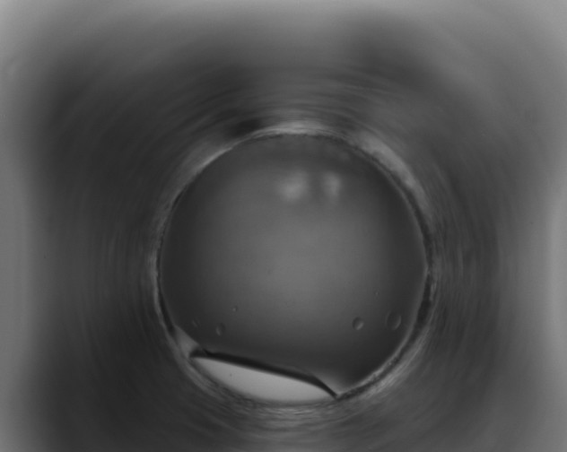 X0000088391425200705291359