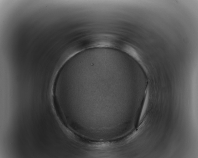 X0000088391426200705291359