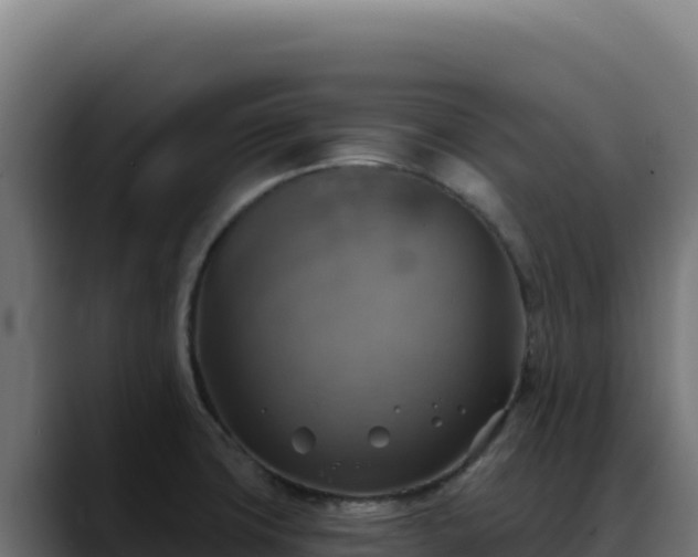 X0000088391427200705291359