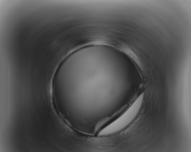 X0000088391428200705291359