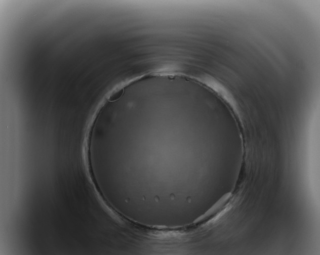 X0000088391429200705291359