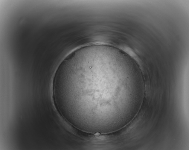 X0000088391431200705291359