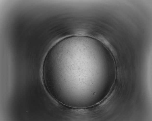 X0000088391432200705291359