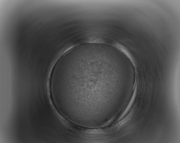 X0000088391434200705291359