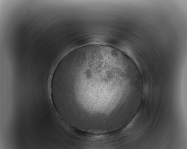 X0000088391435200705291359