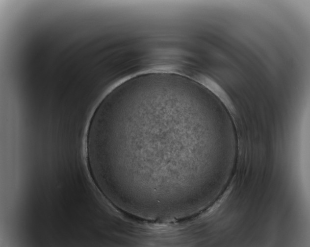 X0000088391436200705291359