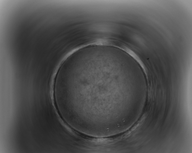 X0000088391437200705291359