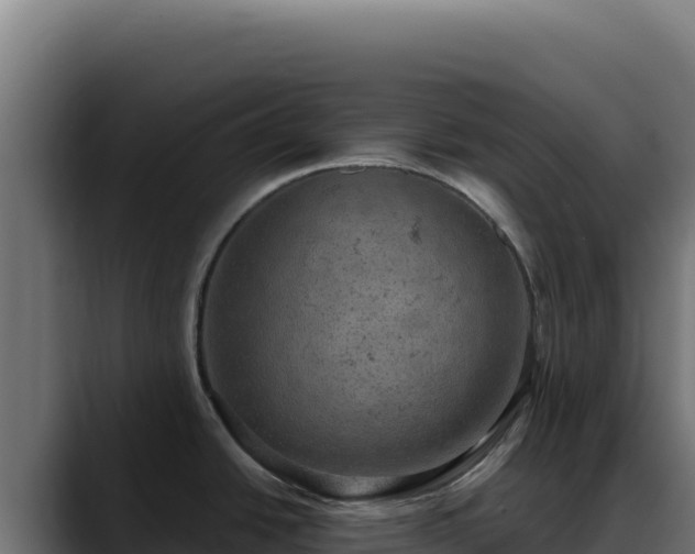 X0000088391438200705291359