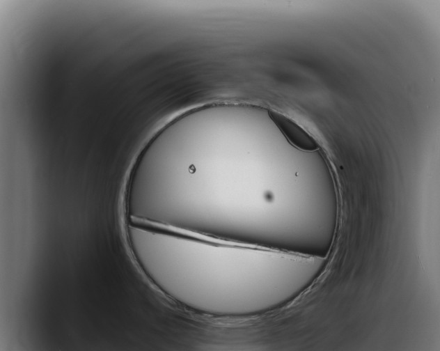 X0000088391440200705291359