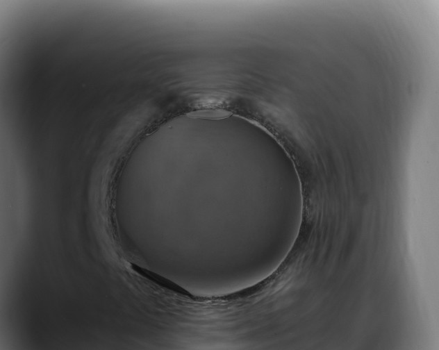 X0000088391441200705291358