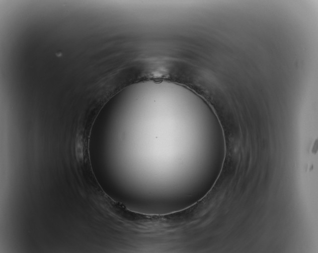 X0000088391442200705291358