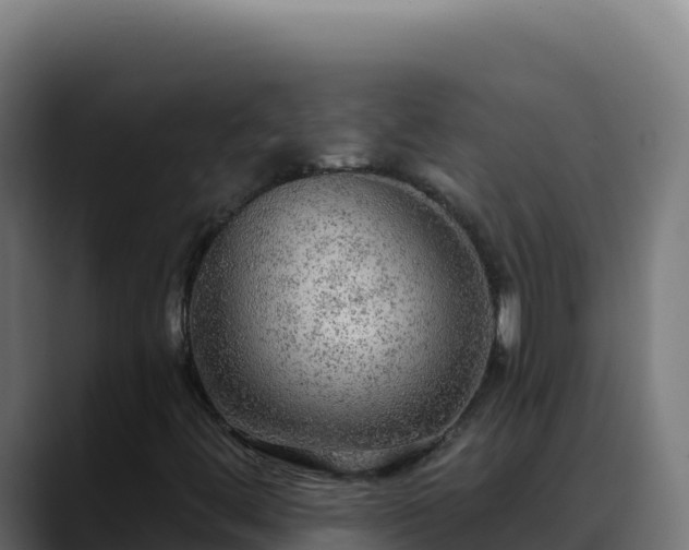 X0000088391444200705291358