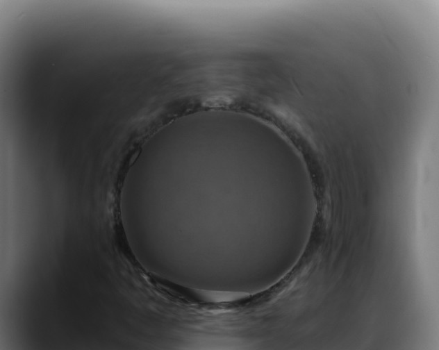 X0000088391445200705291358