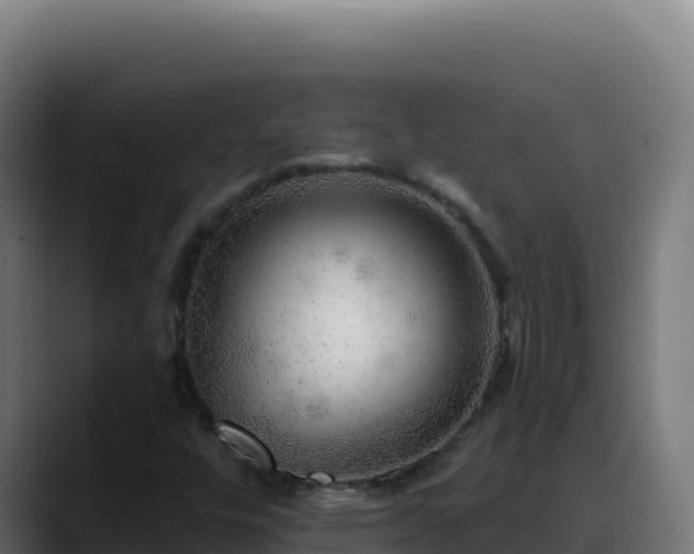 X0000088391448200705291358