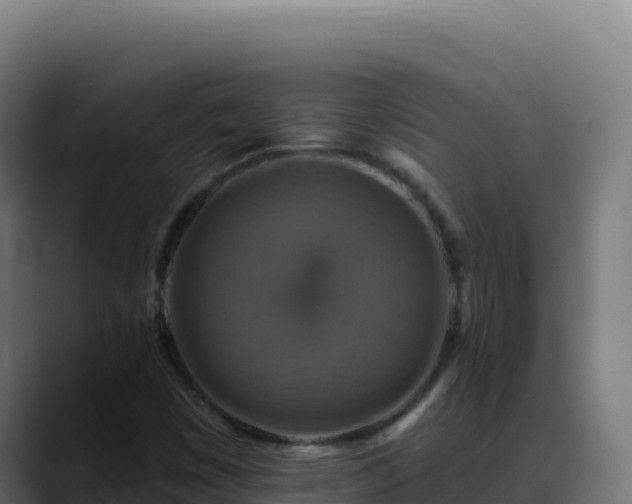 X0000088391449200705291358