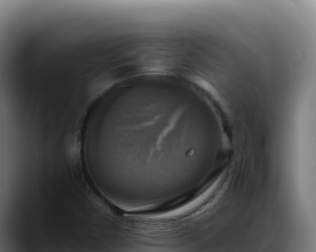 X0000088391450200705291358