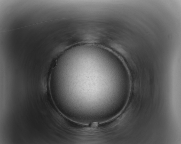 X0000088391451200705291358