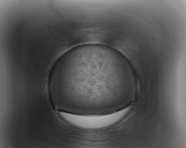 X0000088391452200705291358