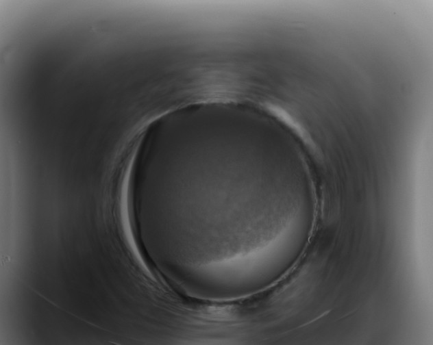 X0000088391453200705291358