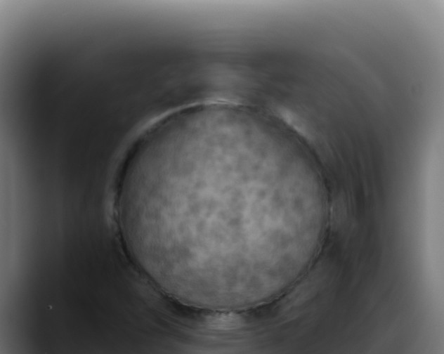 X0000088391454200705291358